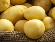 Batata