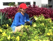 Plantar, colher, podar e fazer florescer. Estes são alguns dos cuidados que 20 internas do Centro de Reeducação Feminino (CRF) estão aprendendo no curso profissionalizante de jardinagem realizado pelo Serviço Nacional de Aprendizagem Rural (Senar), em parceria com a Superintendência do Sistema Penitenciário do Estado (Susipe). Na foto, a interna Sandra Souza, 40.

FOTO: CLÁUDIO SANTOS / AG. PARÁ
DATA: 28.03.2017
BELÉM - PARÁ