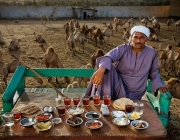 Camel broker Saleh Abdul Fadlallah with his day's worth of food at the Birqash Camel Market outside Cairo, Egypt. (From the book What I Eat: Around the World in 80 Diets.) The caloric value of his day's worth of food on a typical day in the month of April was 3200 kcals.  He is 40 years of age; 5 feet, 8 inches tall; and 165 pounds. Contrary to popular belief, camels’ humps don’t store water; they are a reservoir of fatty tissue that minimizes the need for heat-trapping insulation in the rest of their bodies; the dromedary, or Arabian camel, has a single hump, while Asian camels have two. Camels are well suited for desert climes: their long legs and huge, two-toed feet with leathery pads enable them to walk easily in sand, and their eyelids, nostrils, and thick coat protect them from heat and blowing sand. These characteristics, along with their ability 