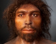 Homo Sapiens 1