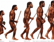 Homo Sapiens 2