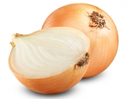 onion bulbs