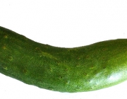 Pepino