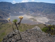 Ilha Krakatoa 6