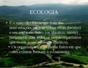 Imagens - Ecologia 4