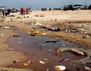 Impacto Ecológico Negativo 6