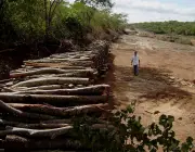 Impactos Ambientais na Caatinga 3