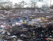 Impactos Ambientais na Caatinga 4