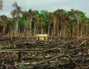 Impactos Ambientais na Caatinga 5