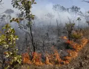 Impactos Ambientais na Caatinga 6