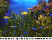 Importância da Ecologia 2