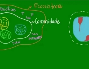 Introdução à Ecologia 6