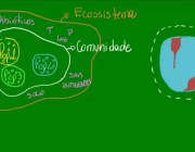 Introdução à Ecologia 6