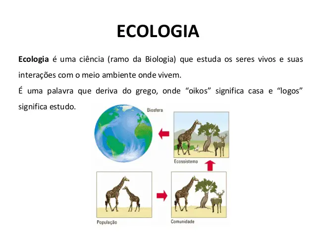 Introdução à Ecologia 2