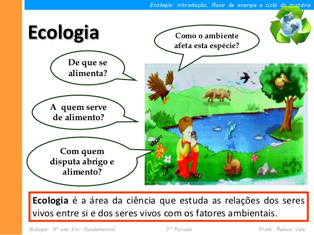 Introdução à Ecologia – Conceitos Básicos | Mundo Ecologia