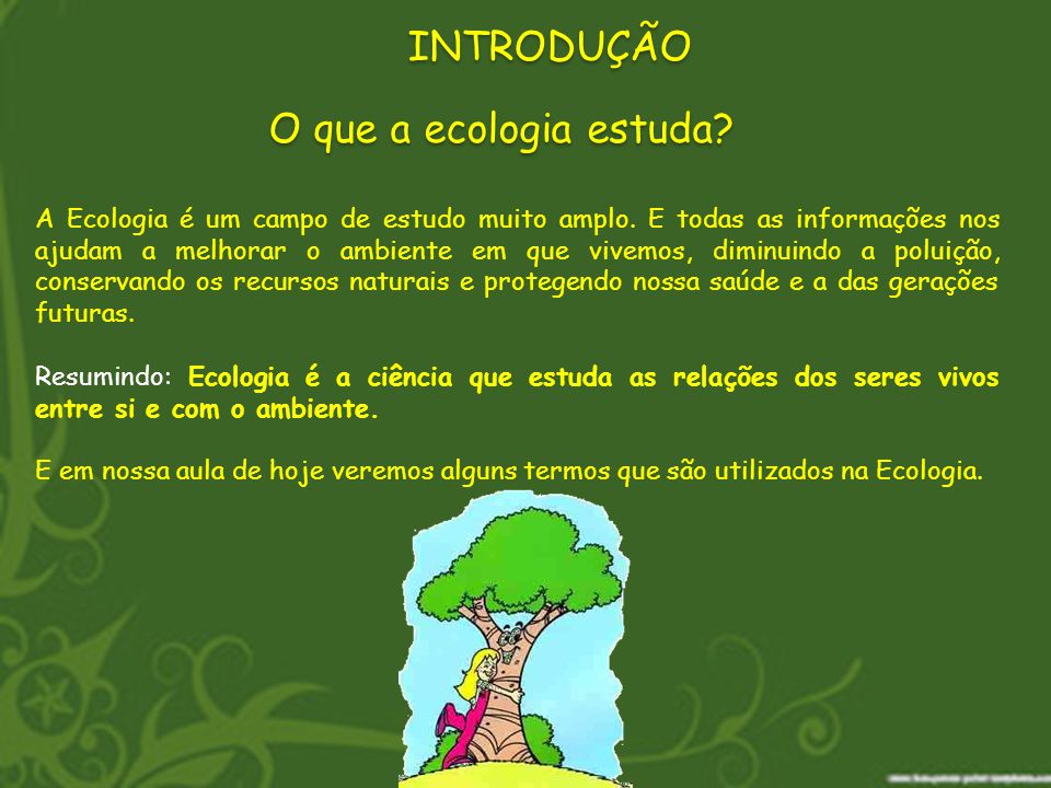Introdução à Ecologia Conceitos Básicos Mundo Ecologia Introdução à Ecologia Conceitos Básicos Mundo Ecologia