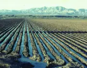Irrigação de superfície 2