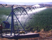 Irrigação de superfície 4