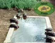 Jabuti Adora Água 3
