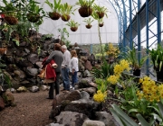 Jardim Botânico Atocha-La Liria 2