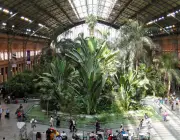 Jardim Botânico Atocha-La Liria 3