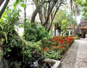 Jardim Botânico Atocha-La Liria 4