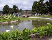 Jardim Botânico Atocha-La Liria 5