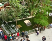 Jardim Botânico Atocha-La Liria 6