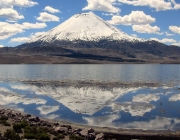 Lago Chungara 2