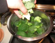 Lavando o Brócolis 3