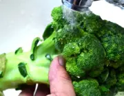 Lavando o Brócolis 5