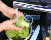 Lavando o Brócolis 6