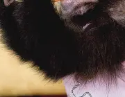 Macaco-Prego de Estimação Com Seus Donos 5