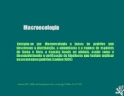 Macroecologia 3