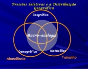 Macroecologia 4