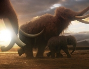 Programme Name: Mammoth - TX: 04/04/2012 - Episode: n/a (No. n/a) - Embargoed for publication until: n/a - Picture Shows: CGI still of Mammoths  - (C) BBC - Photographer: n/a