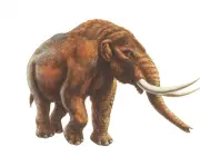 Mastodonte 2