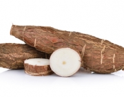 Cassava isolated on a white background