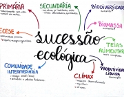 Mapas Mentais na Ecologia 3