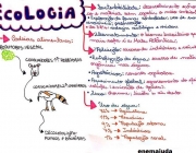 Mapas Mentais na Ecologia 4