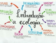 Mapas Mentais na Ecologia 5