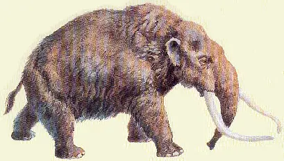 Mastodonte 3