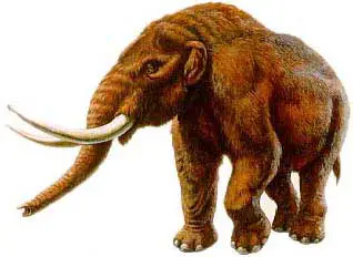 Mastodonte 4