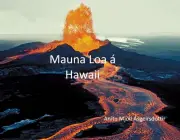 Mauna Loa 1