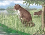 Mega-Capivara 5