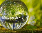 Meio Ambiente 2