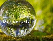 Meio Ambiente 1