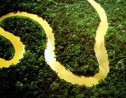 Meio Ambiente Brasileiro 1