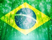 Meio Ambiente Brasileiro 2