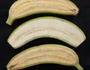 Melhoramento Genético da Banana Caturra 3